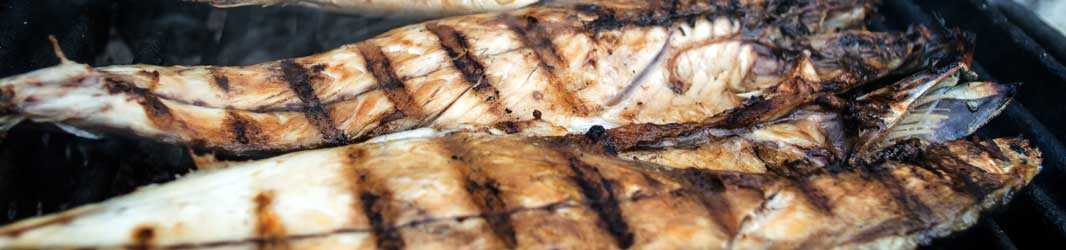 Fisch