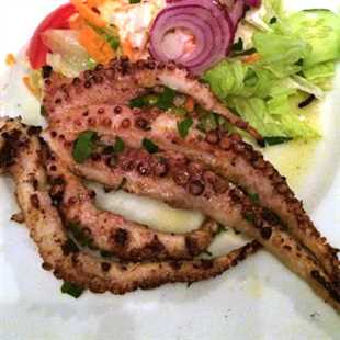Octopus